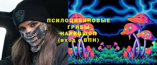 apvp Абаза