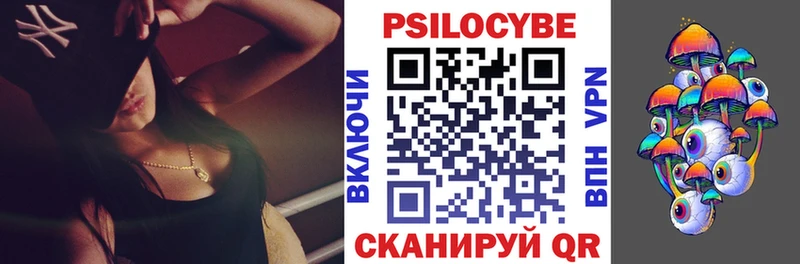 Псилоцибиновые грибы Psilocybe Калач